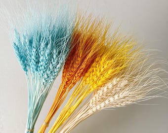 Ramo de trigo seco: decoración otoñal natural, ramo de flores secas, estilo rústico bohemio.