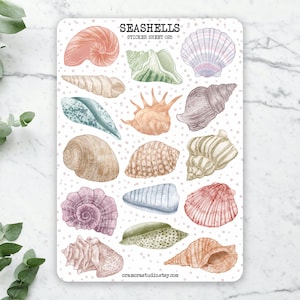 Seashells Sticker Sheet | Journal Stickers, Planner Stickers | Beach, Summer, Shells, Sea Life, Under the Sea, Ocean | 16 Stickers