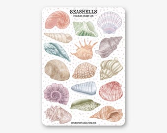 Sticker Sheet - Seashells | Journal & Planner Stickers | Ocean, Beach, Sea
