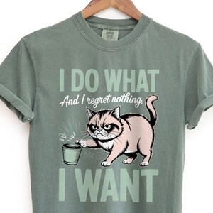 Cat Meme Shirt, Cat Themed Gifts, Unhinged TShirt ,Weird Funny Shirt, Funny Cat Shirt, Silly Shirt, Comfort Colors Tee, Cat Shirt, Cat Mom