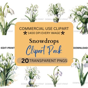 Bundle de cliparts floraux perce-neige blanc usage commercial PNG Transparent mariage anniversaire botanique invitations cartes fleurs aquarelle sublimation