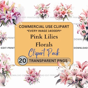 Rosa Lilien Blumen Clipart Bundle Kommerzielle Nutzung Transparente PNG Hochzeit Geburtstag Botanische Lädt Karten Blume Aquarell Sublimation Lilie ein