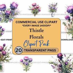 Bundle de cliparts floraux chardons écossais usage commercial PNG Transparent mariage anniversaire botanique invitations carte fleur aquarelle sublimation