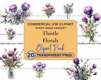 Scottish Thistles Floral Clipart Bundle Commercial Use Transparent PNG Wedding Birthday Botanical Invites Card Flower Watercolor Sublimation