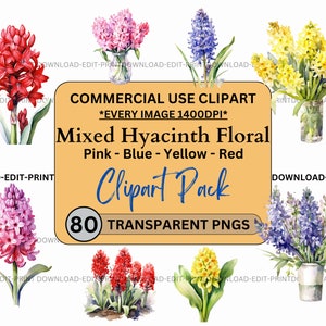 Gemengde hyacint bloemen clipart bundel commercieel gebruik transparante PNG bruiloft verjaardag botanische nodigt kaarten bloemen aquarel sublimatie
