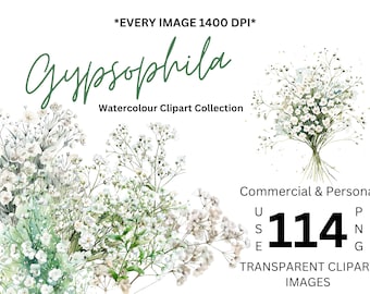Gypsophila Flower Babys Breath Bouquet Transparent PNG Art Wedding Birthday Baby Invites Cards Flowers Watercolor Sublimation Border Flower