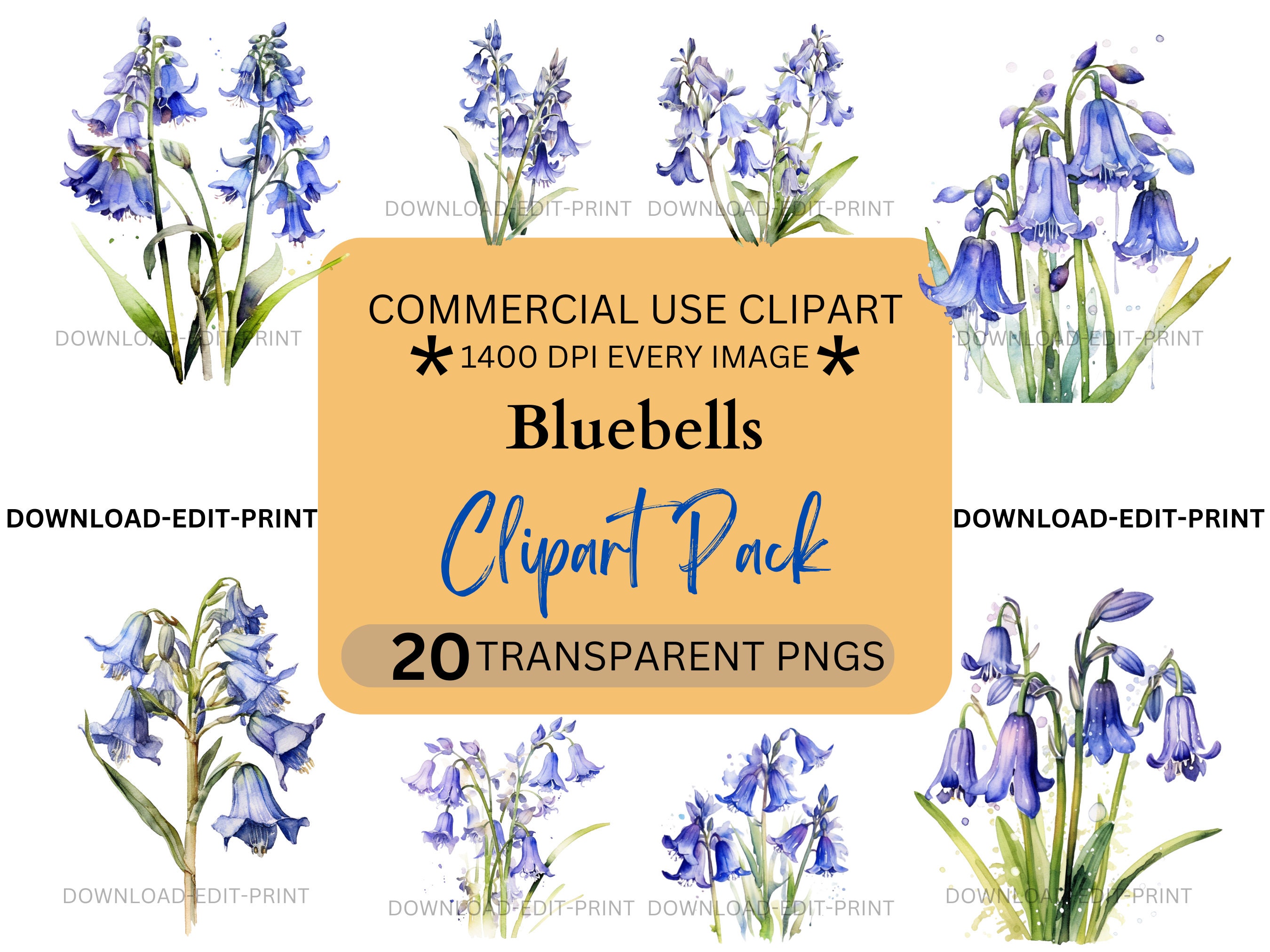 Blue Bluebell Floral Clipart Bundle Commercial Use Transparent PNG Wedding Birthday Botanical Invites Cards Flowers Watercolor Sublimation