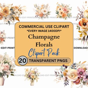 Champagne Floral Clipart Bundle Commercial Use Transparent PNG Wedding Birthday Botanical Invites Cards Flowers Watercolor Sublimation