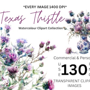 Texas Thistle Blommig Clipart Grafik Transparent PNG Konst Bröllop Födelsedagsinbjudningar Kort Lila Blommor Akvarell Sublimering Vildblomma