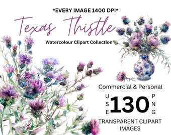 Texas Thistle Floral Clipart Graphics Transparent PNG Art Wedding Birthday Invites Cards Purple Flowers Watercolor Sublimation Wildflower