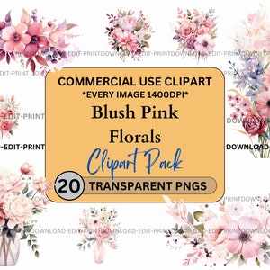 Blush roze bloemen clipart bundel commercieel gebruik transparante png bruiloft verjaardag botanische uitnodigingen kaarten bloemen aquarel sublimatie