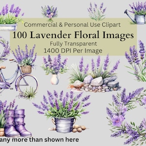 Acquerello lavanda Provenza Clipart floreale uso commerciale PNG trasparente matrimonio compleanno botanico invita carta fiore viola sublimazione
