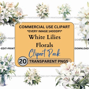 Pacote de clipart floral de lírios brancos para uso comercial PNG transparente Convites botânicos de aniversário de casamento Cartão de flor Aquarela Sublimação Lírio
