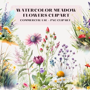 Watercolor Floral Clipart, Meadow Flowers Clipart, Floral Spring Wildflower, PNG Bundle, Instant Download For Commercial Use