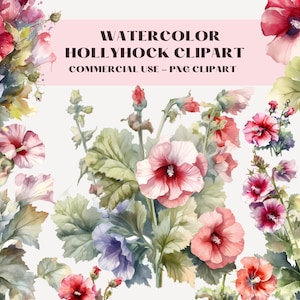 33 Watercolor Hollyhock Clipart, Hollyhock Floral Bouquets, Quality Floral Bundle PNG, Instant Download For Commercial Use