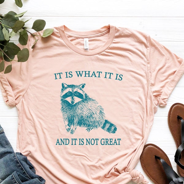 It Is What It Is And It Is Not Great Shirt, Aesthetic Preppy Shirt, Raccoon Meme T Shirt, Quote Shirts, Mood Gifts, Funny Mood Shirt