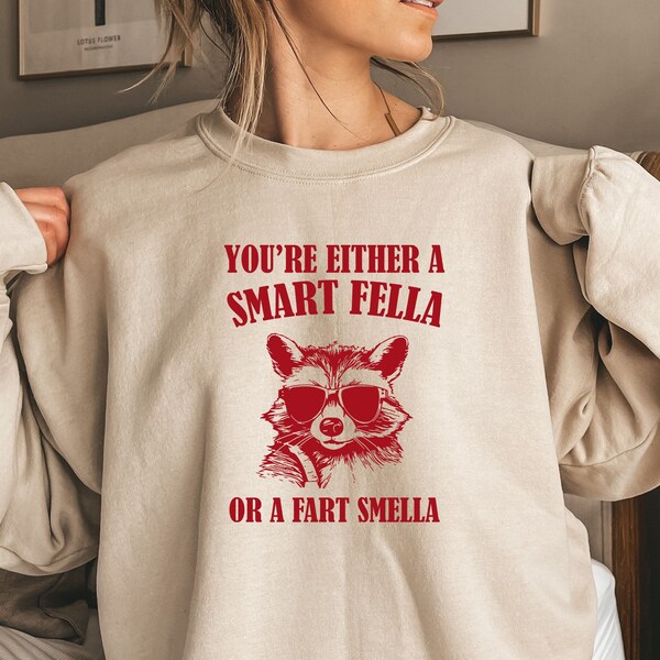 Are You A Smart Fella Or a Fart Smella Sweatshirt, Retro Cartoon  Shirt, Weird  Shirt, Meme  Shirt,Trash Panda Sweatshirt,Unisex long sleeve