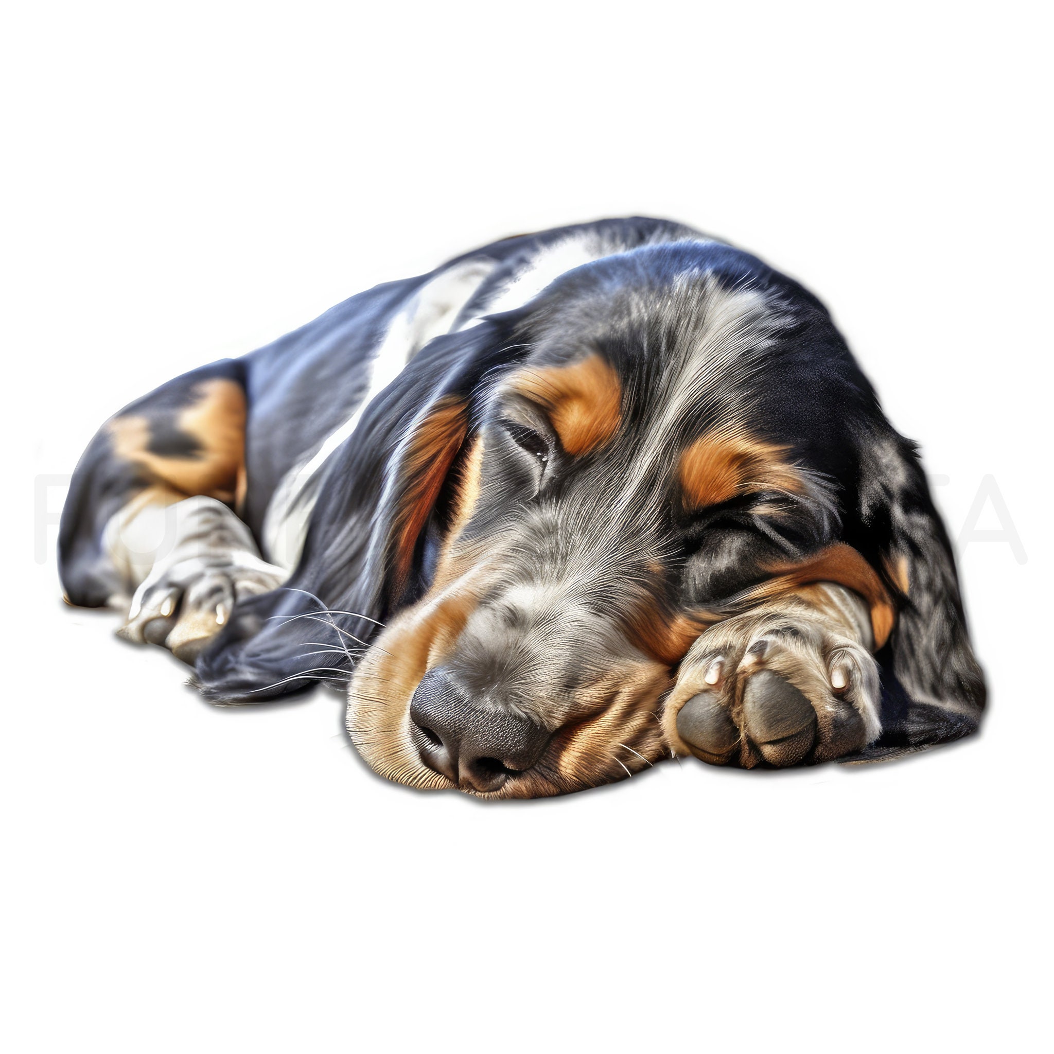 Bluetick Coonhound Puppy Printable Dog Art, 12 High Quality JPG, PNG ...