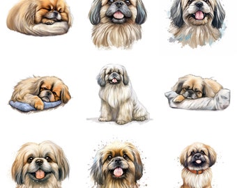 Pekinese Hund Welpe Aquarell Clipart Bundle, 11 hochwertige JPG, PNG, bedruckbar, Hundeportrait, Hundedruck, Wandkunst, kommerzielle Nutzung