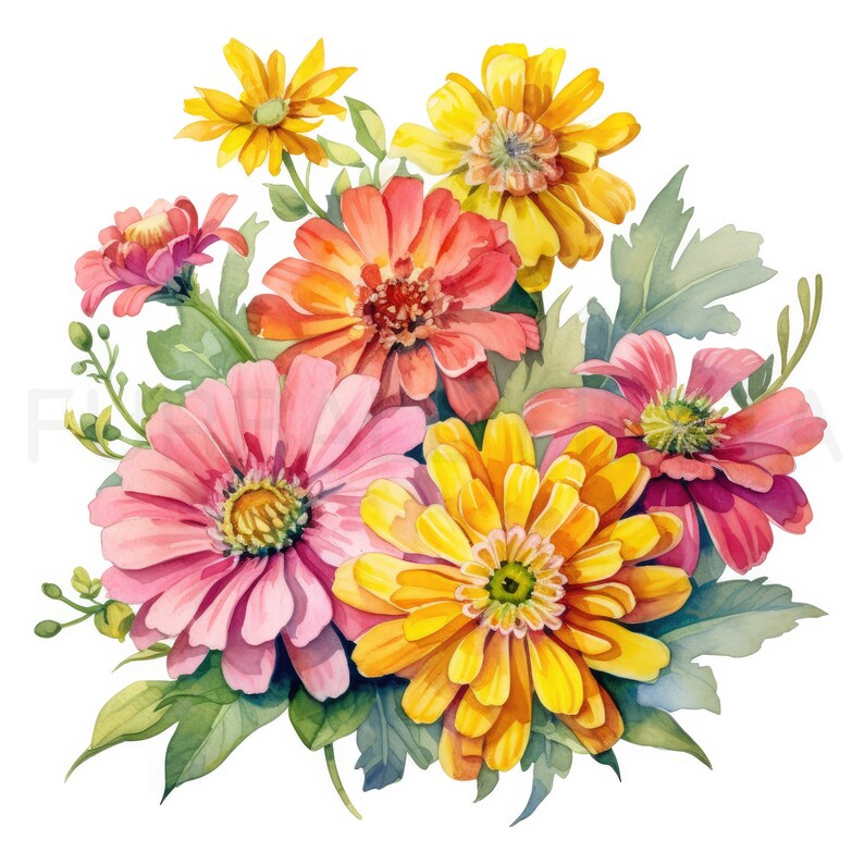 Zinnia Printable Flower Art Set 2, 10 High Quality Jpgs, Watercolor ...