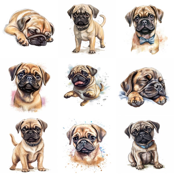 Pug Puppy Clipart, 12 hoge kwaliteit JPG, PNG, aquarel, kaart maken, afdrukbaar, kunst aan de muur, commercieel gebruik, digitale download