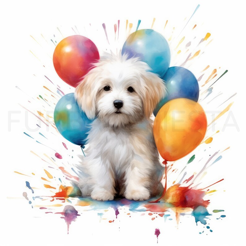 Coton De Tulear Puppy Clipart, 16 High-quality Jpgs, Watercolor ...