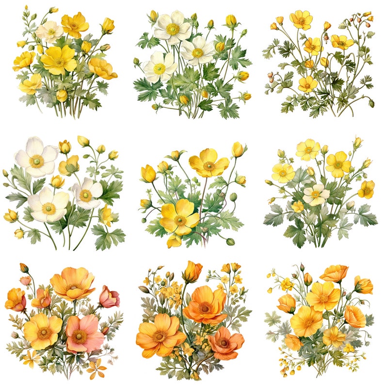 Buttercup Printable Flower Art Set 2, 10 High Quality Jpgs, Watercolor ...