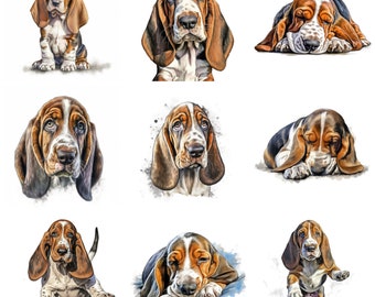 Basset Hound Puppy aquarel clipart bundel, 11 hoge kwaliteit JPG, PNG, afdrukbare kunst, hondenkaart, hondenportret, kunst aan de muur, commercieel gebruik