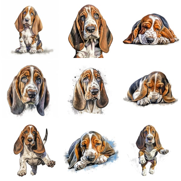 Basset Hound Puppy Watercolor Clipart Bundle, 11 High Quality JPG, PNG, Printable Art, Dog Card, Dog Portrait,  Wall Art, Commercial Use