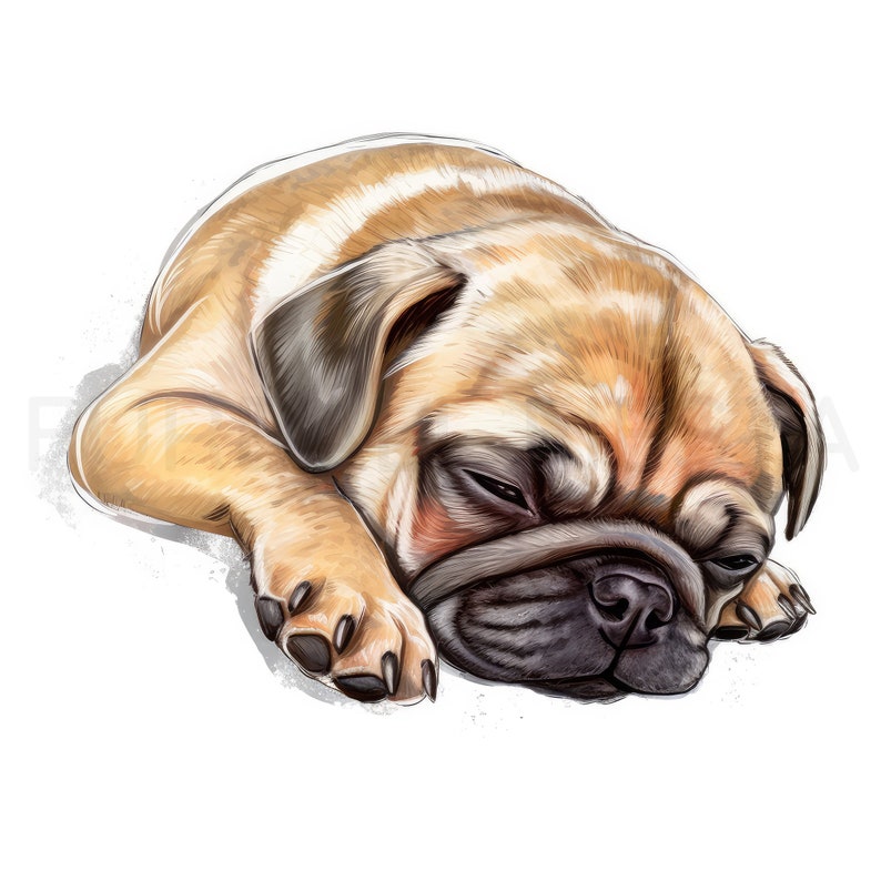 Pug Puppy Clipart, 12 hoge kwaliteit JPG, PNG, aquarel, kaart maken, afdrukbaar, kunst aan de muur, commercieel gebruik, digitale download afbeelding 5