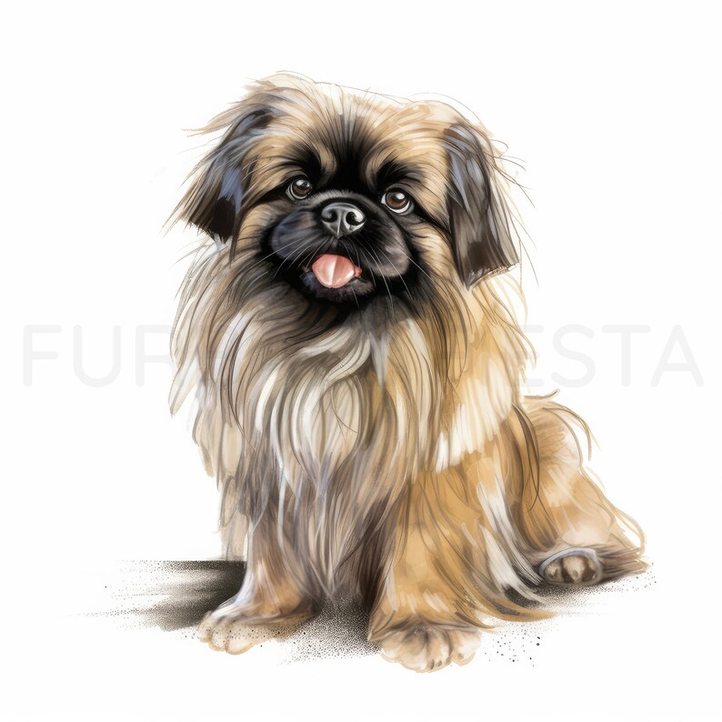 Pekingese Puppy Printable Dog Art 2, 15 High Quality JPG, PNG ...