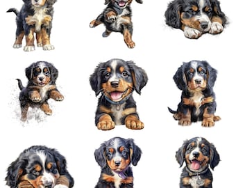 Berner Sennenhond Puppy Clipart, 18 hoge kwaliteit JPG, PNG, aquarel, kaart maken, afdrukbaar, kunst aan de muur, commercieel gebruik, digitale download