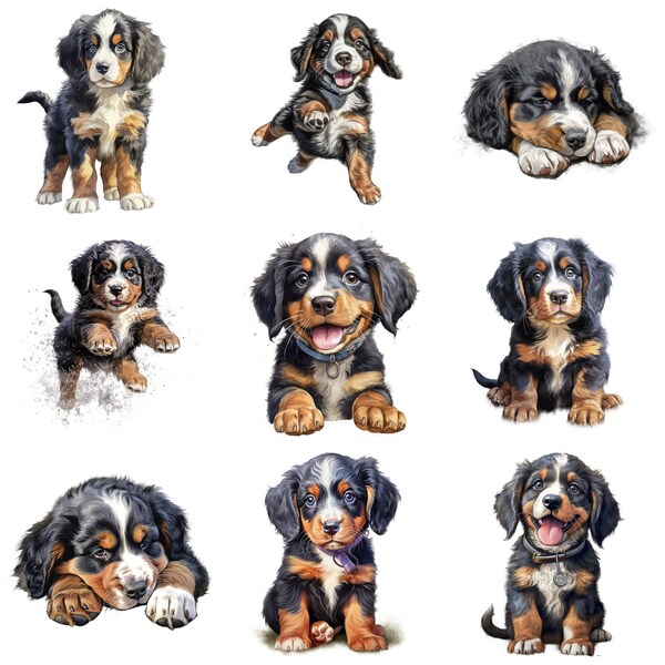 Bernese Mountain Dog Puppy Clipart, 18 High Quality JPG, PNG, Watercolor, Card Making, Printable, Wall Art, Commercial Use, Digital Download