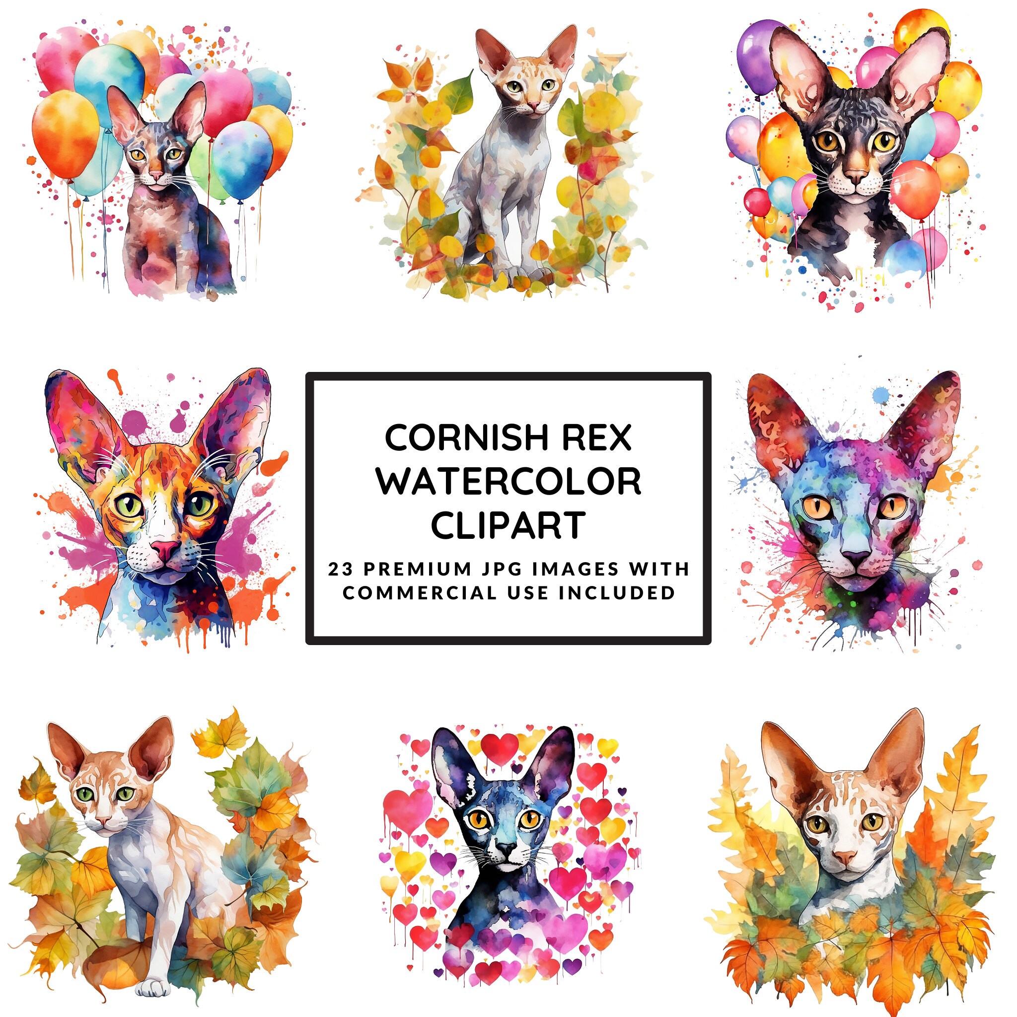 Cornish Rex Cat Watercolor Clipart 23 High Quality Jpgs Wall Art, Card ...