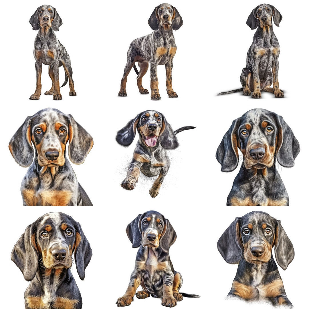 Bluetick Coonhound Puppy Printable Dog Art, 12 High Quality JPG, PNG ...
