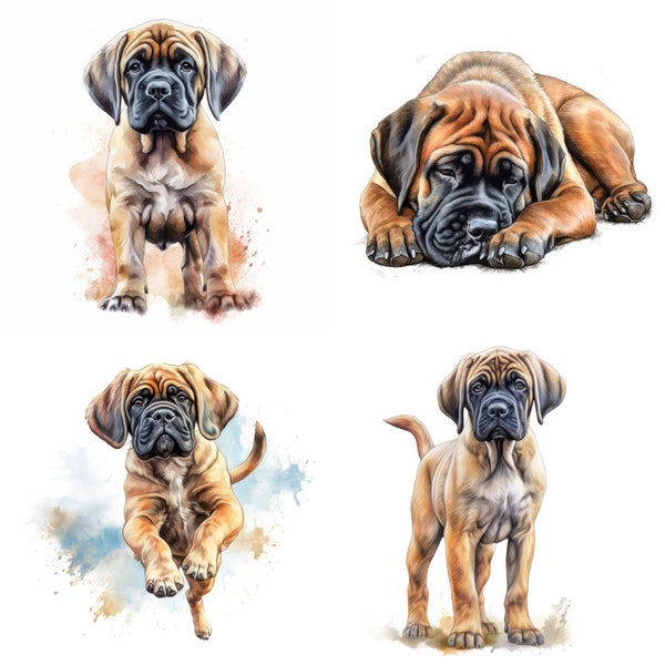 Bullmastiff Puppy Clipart, 13 High Quality JPG, PNG, Watercolor, Card Making, Printable, Wall Art, Commercial Use, Digital Download
