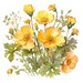 Buttercup Printable Flower Art, 10 High Quality Jpgs, Watercolor Flower ...