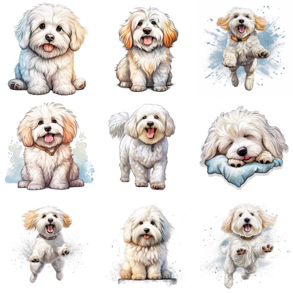 Coton de Tuléar Puppy Aquarelle Clipart Bundle, 16 JPG de haute qualité, PNG, Art de chien imprimable, Portrait de chien, Art mural, Utilisation commerciale