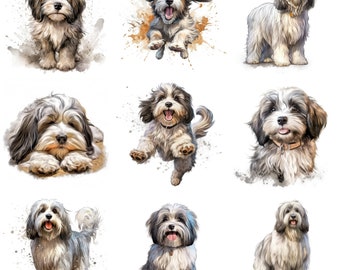 Tibetaanse Terriër puppy aquarel clipart bundel, 16 hoge kwaliteit JPG, PNG, afdrukbare hond kunst, hond portret, kunst aan de muur, commercieel gebruik