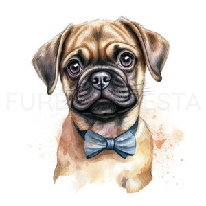 Pug Puppy Clipart, 12 hoge kwaliteit JPG, PNG, aquarel, kaart maken, afdrukbaar, kunst aan de muur, commercieel gebruik, digitale download afbeelding 7