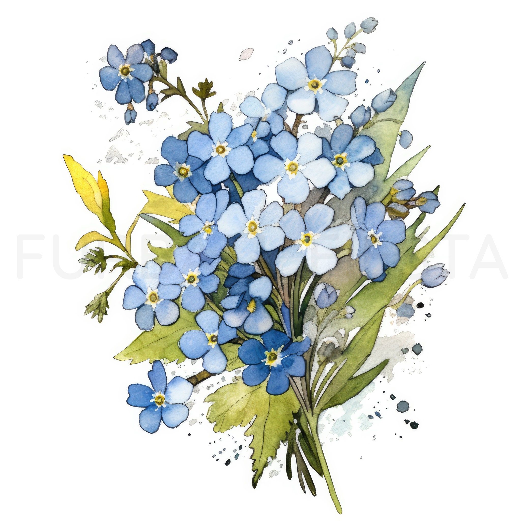 Forget-me-not Printable Flower Art Set 2, 10 High Quality Jpgs ...