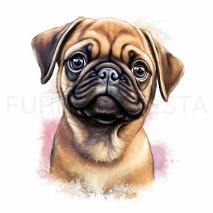 Pug Puppy Clipart, 12 hoge kwaliteit JPG, PNG, aquarel, kaart maken, afdrukbaar, kunst aan de muur, commercieel gebruik, digitale download afbeelding 8