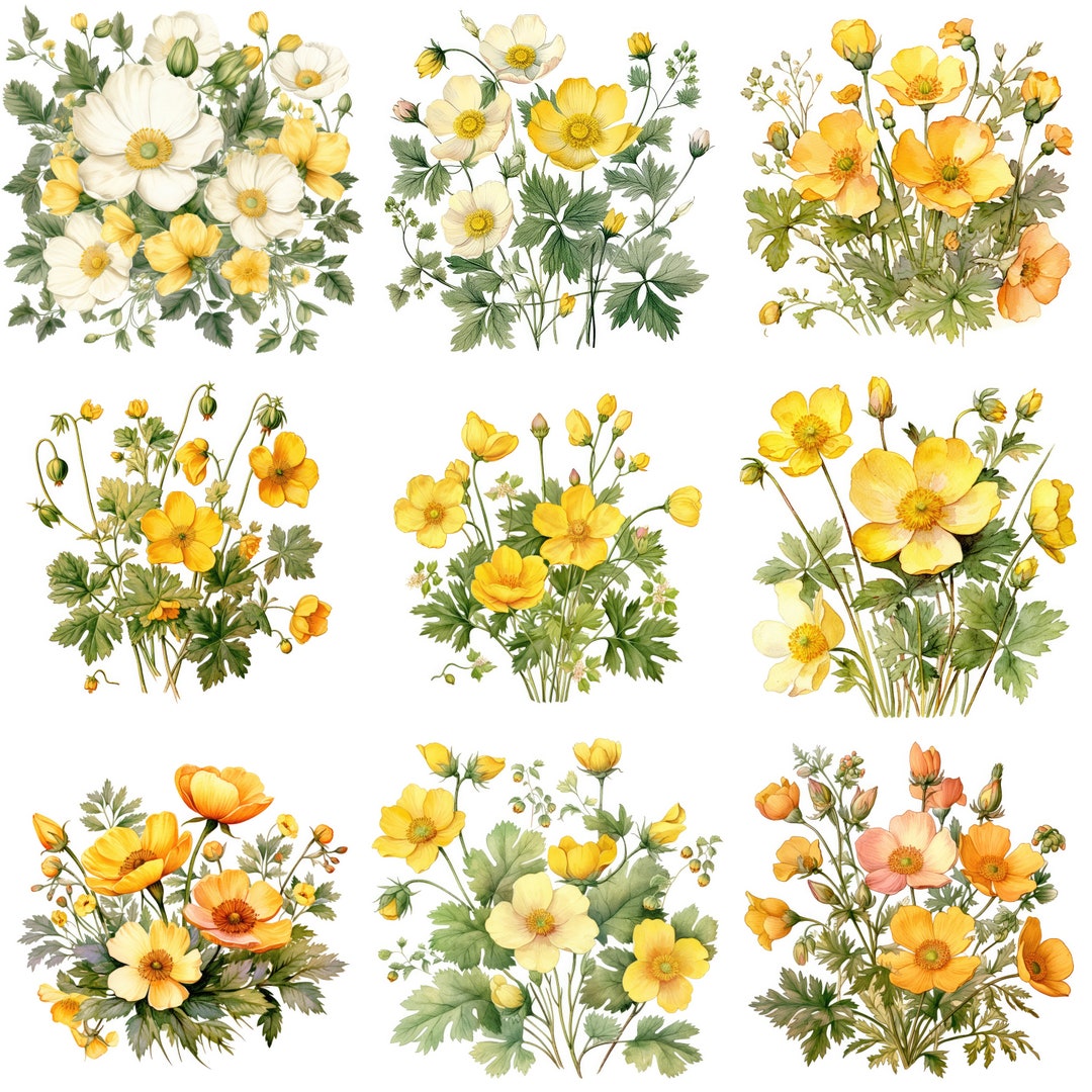 Buttercup Printable Flower Art, 10 High Quality Jpgs, Watercolor Flower ...
