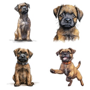 Border Terrier Puppy Clipart, 17 High Quality JPG, PNG, Watercolor, Printable Art, Card Making, Wall Art, Commercial Use, Digital Download
