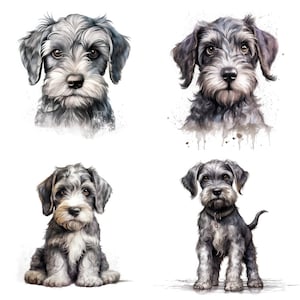 Schnauzer Puppy Clipart, 15 High Quality JPG, PNG, Watercolor, Card Making, Printable, Wall Art, Commercial Use, Digital Download