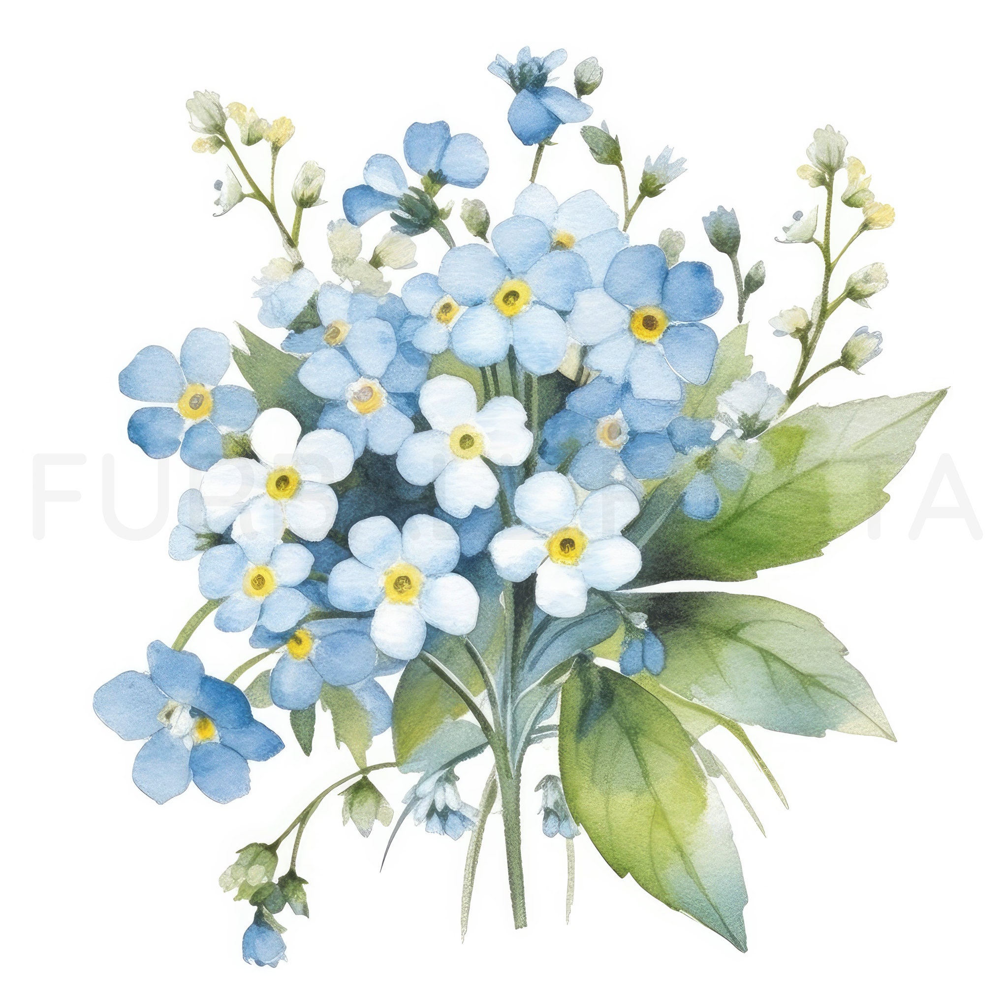 Forget-me-not Printable Flower Art, 10 High Quality Jpgs, Watercolor ...