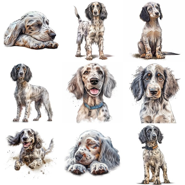 Ensemble de cliparts aquarelle chiot setter anglais, 13 JPG de haute qualité, PNG, oeuvre d'art imprimable, portrait de chien, art mural, cadeau, usage Commercial