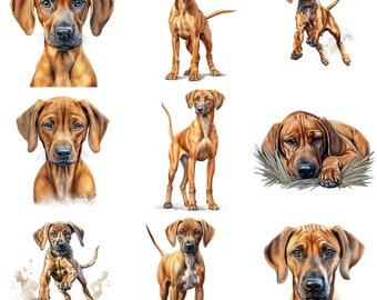 Rhodesian Ridgeback Puppy aquarel clipart bundel, 14 hoge kwaliteit JPG, PNG, afdrukbare hond kunst, hond portret, kunst aan de muur, commercieel gebruik