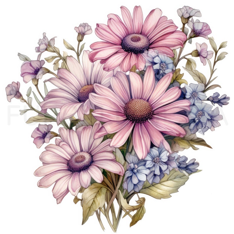 Daisy Printable Flower Art 10 High Quality Jpgs Watercolor Etsy
