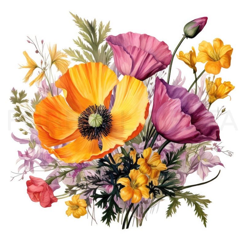 Poppy Printable Flower Art Set 2, 10 High Quality Jpgs, Watercolor ...